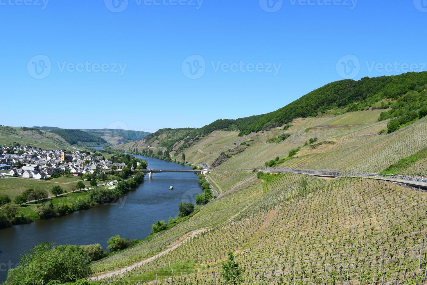 Mosel às Vila trittenheim dentro verão foto