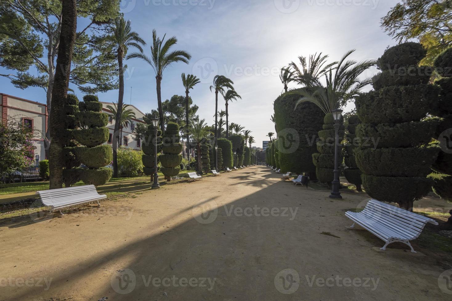 cadiz uma porta cidade dentro Andaluzia dentro sudoeste Espanha e diferente cidade Visualizações foto