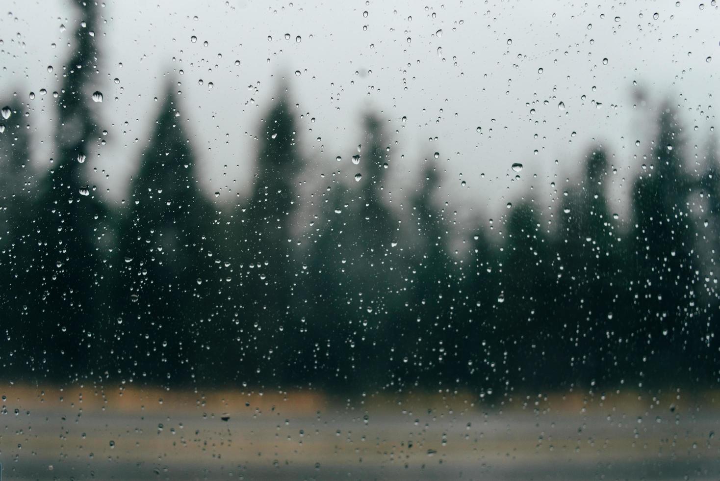 gotas de chuva em vidro com árvores ao fundo foto