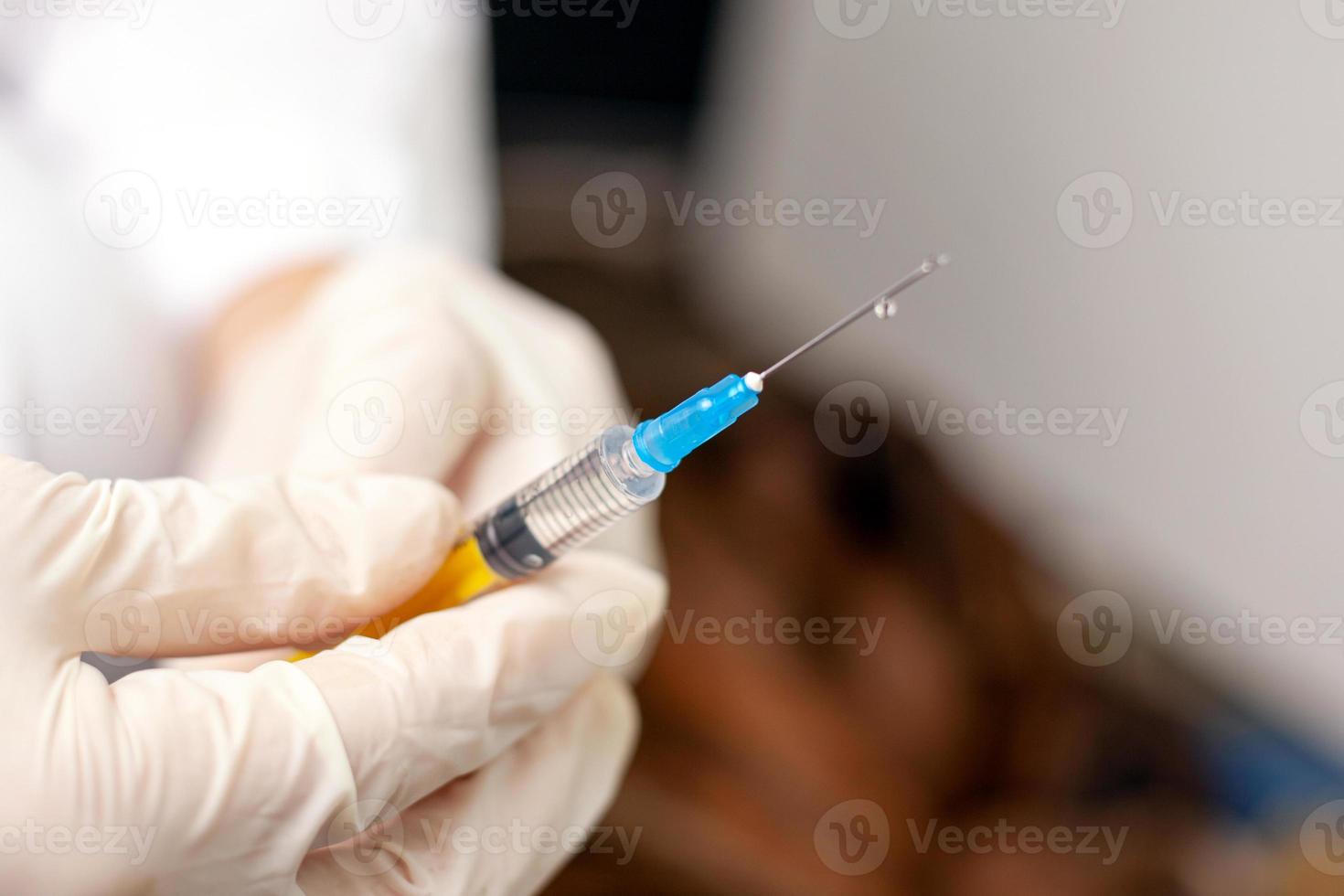 veterinário segura uma seringa nas mãos para dar uma injeção em um cão doente foto