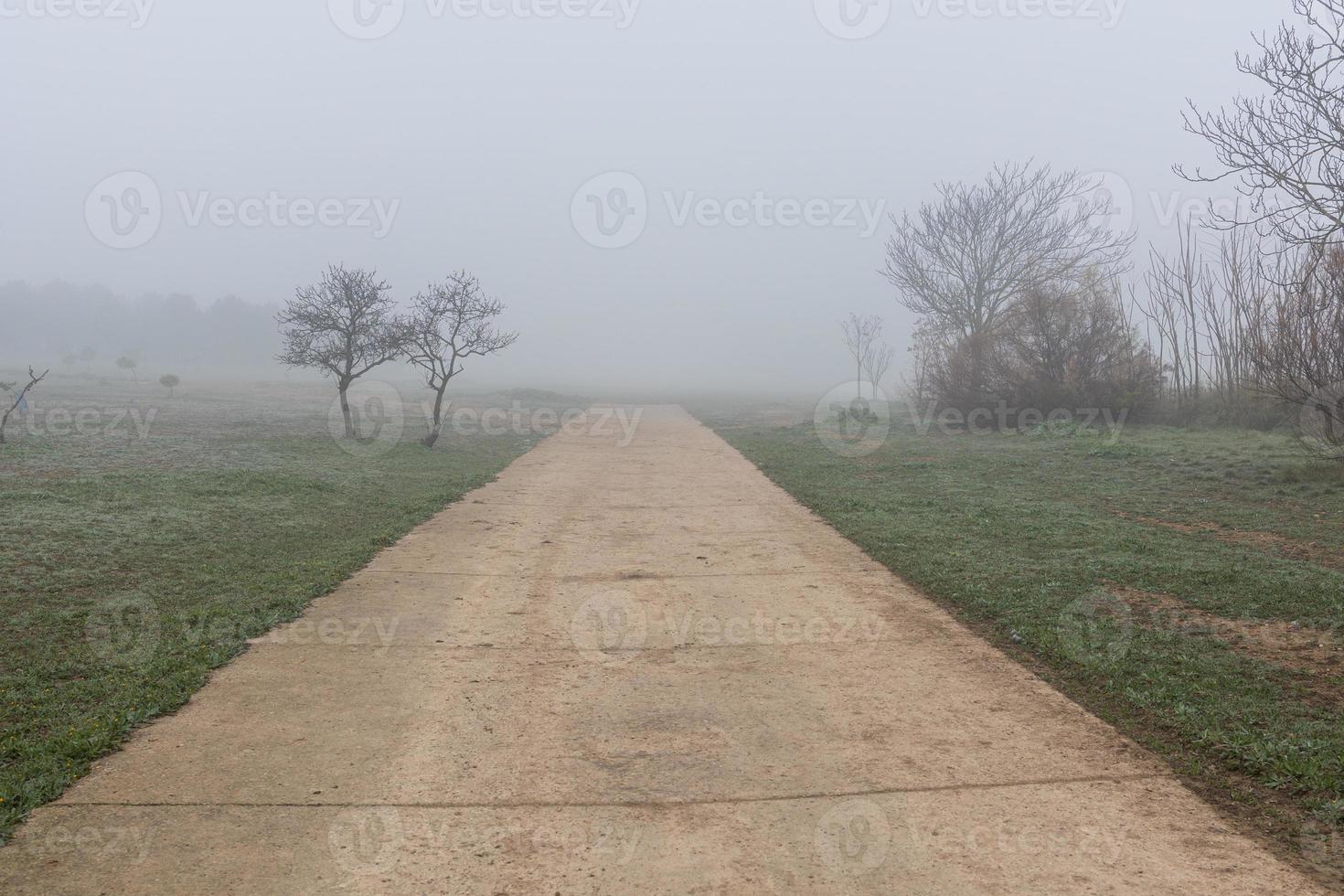 eu calma panorama com estrada dentro enevoado cinzento invernos dia foto