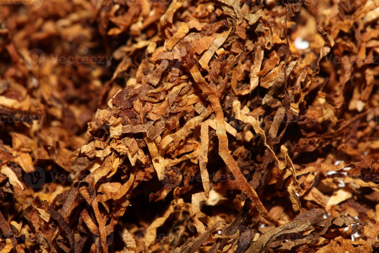 rolando seco tabaco folhas fechar acima fundo grande Tamanho Alto qualidade estoque fotos fumar viciado auto fez cigarros e articulação