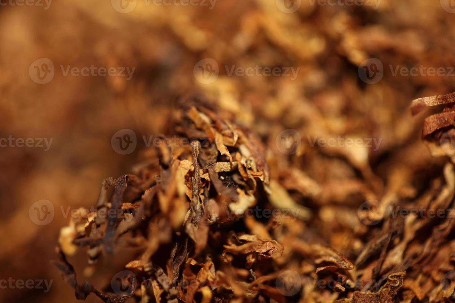 rolando seco tabaco folhas fechar acima fundo grande Tamanho Alto qualidade estoque fotos fumar viciado auto fez cigarros e articulação