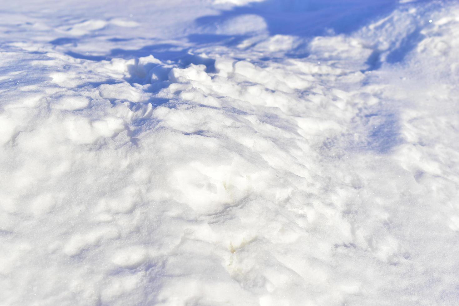 superfície de neve no inverno com sombras ao anoitecer foto