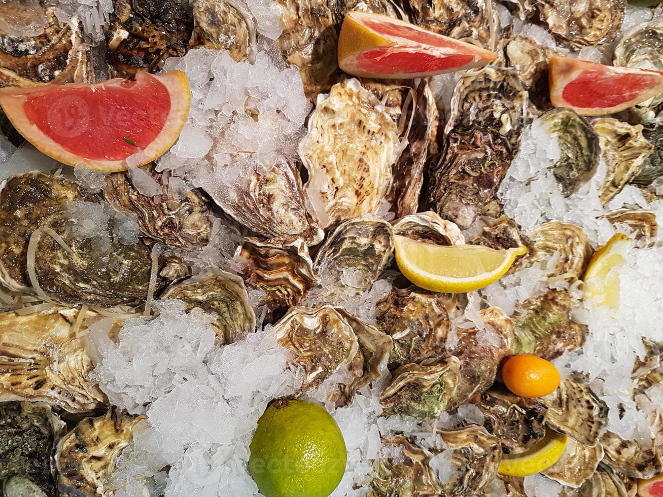 fresco ostra mar Comida mentira em a contador em gelo dentro loja foto