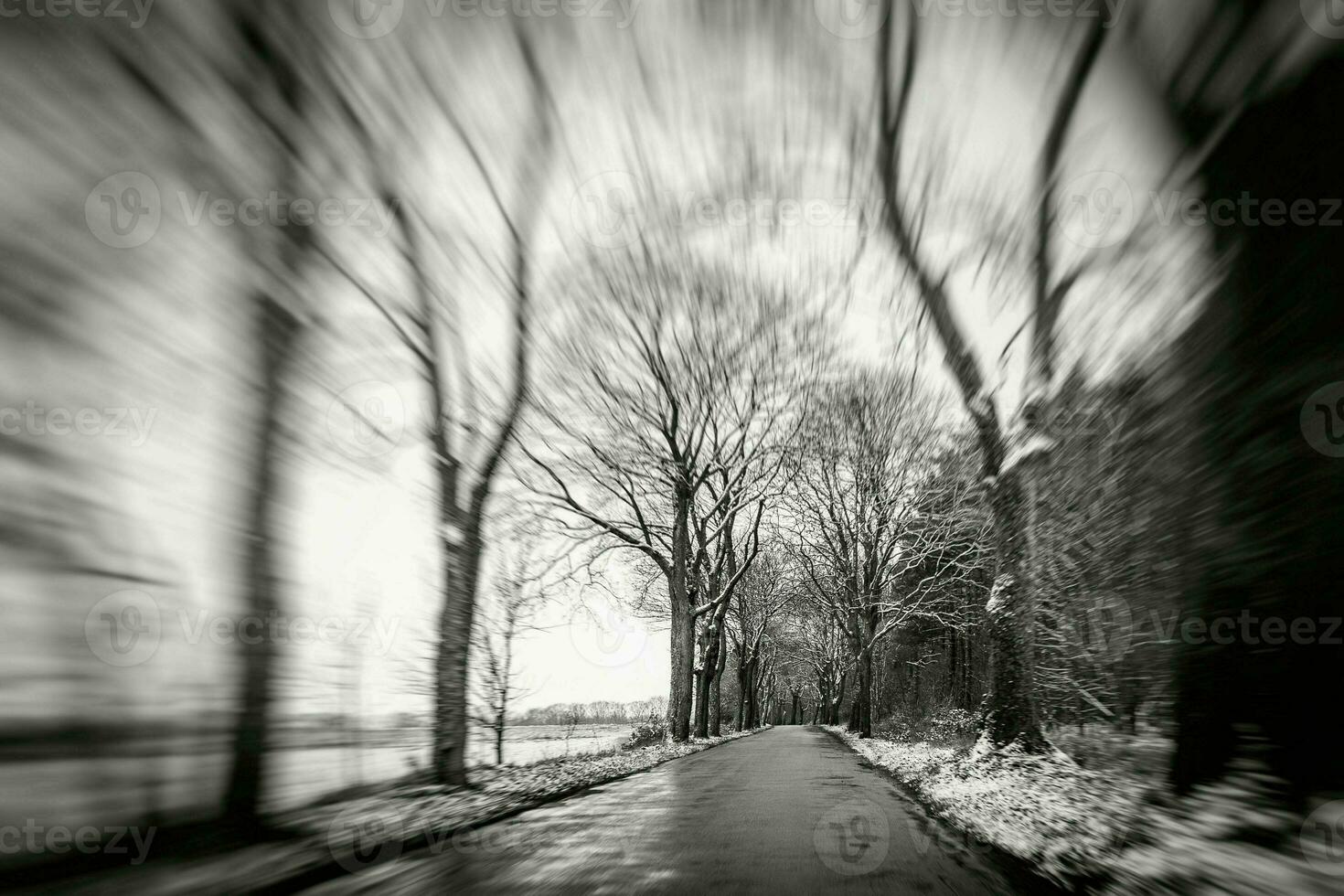 velho asfalto estrada entre árvores em uma Nevado frio inverno dia dentro Polônia foto