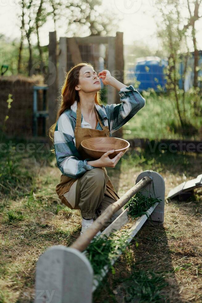 uma mulher senta dentro uma aves de capoeira caneta com uma tigela do orgânico alimentação para alimentando galinhas e descansos depois de Difícil trabalhos em uma verão dia aceso de pôr do sol luz foto