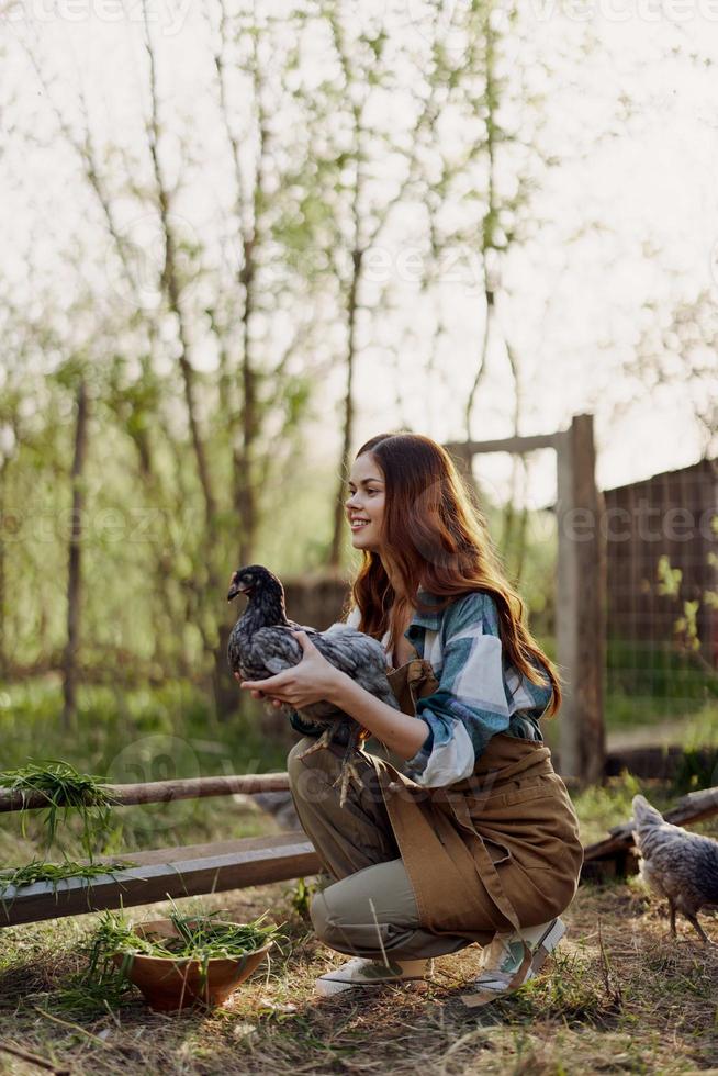 ao ar livre dentro a aves de capoeira caneta, uma jovem mulher agricultor feeds fresco verde Relva para jovem deitado galinhas e sorrisos foto