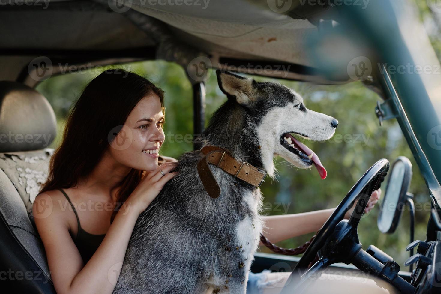 mulher e dela rouco cachorro alegremente viajando dentro carro sorrir com dentes outono andar com bicho de estimação, viagem com cachorro amigo foto