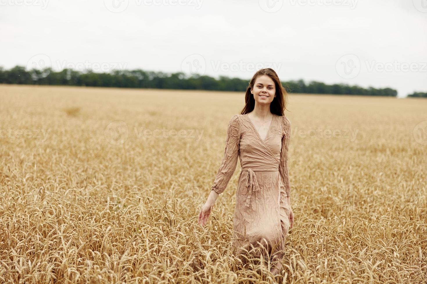 tocante dourado trigo campo a agricultor preocupado a amadurecimento do trigo orelhas dentro cedo verão colheita foto