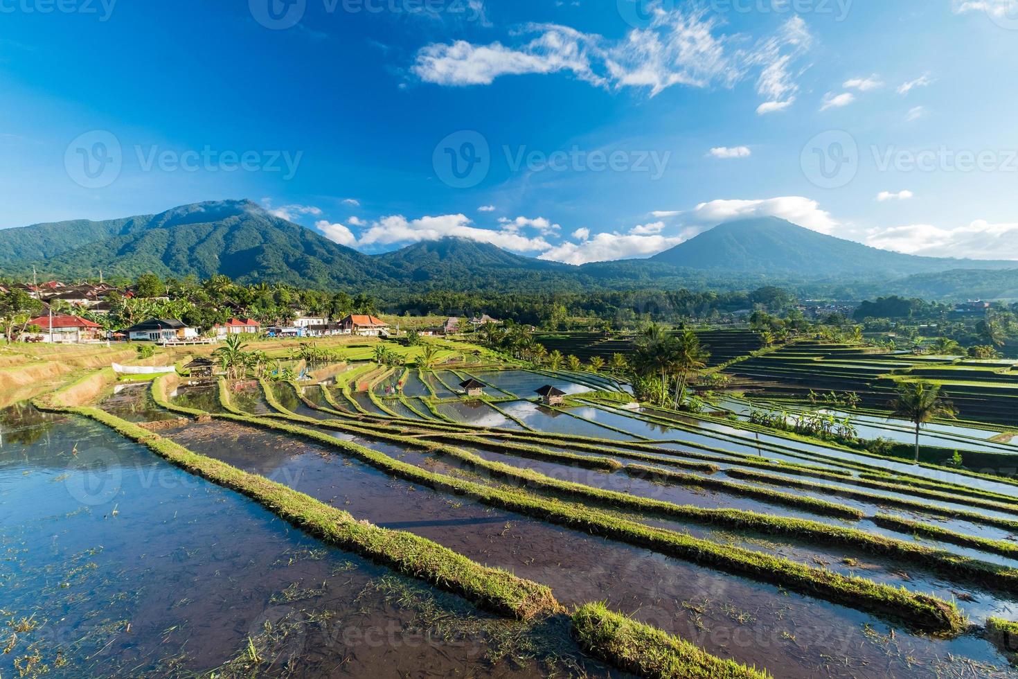 campos de arroz de jatiluwih no sudeste de bali foto