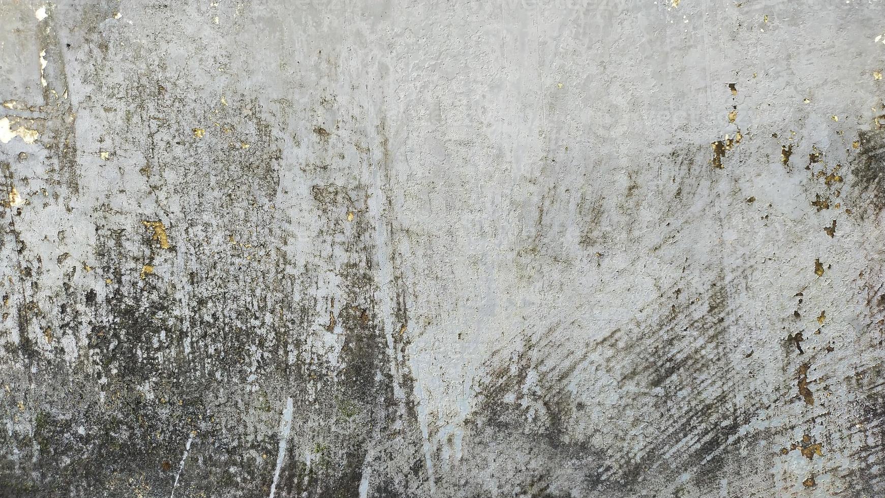 velho grunge rachadura cinzento concreto ou cimento parede textura fundo com seco musgo foto