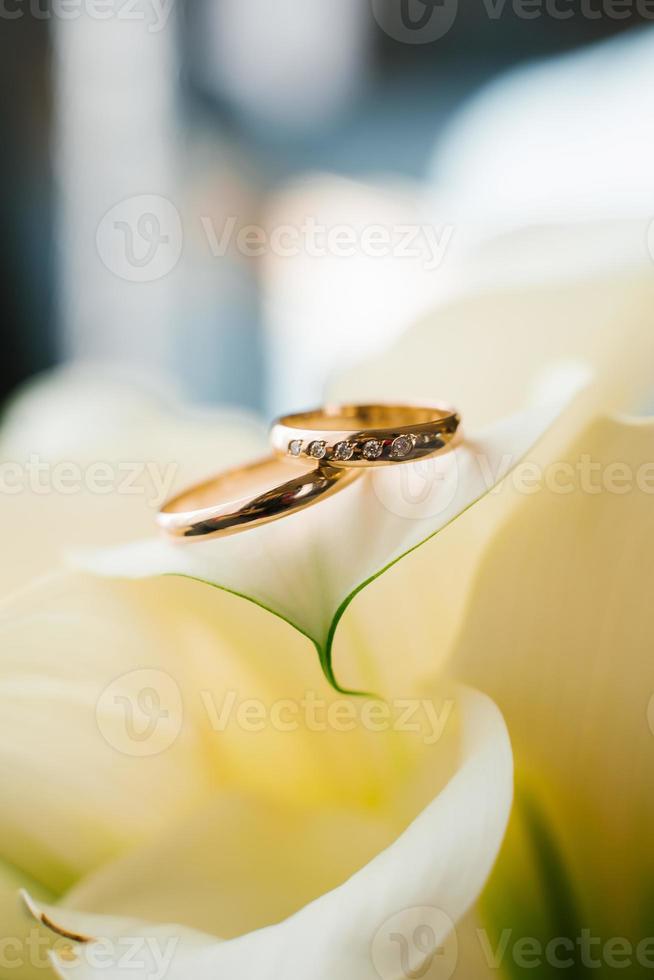 ouro Casamento argolas mentira em a branco pétala do uma calla flor fechar-se foto