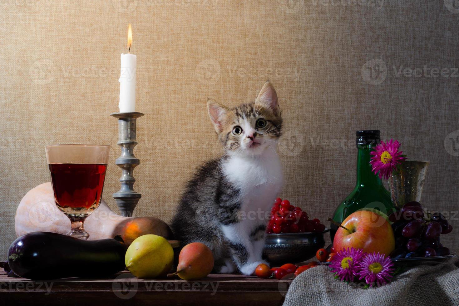 gatinho em cenário de natureza morta foto