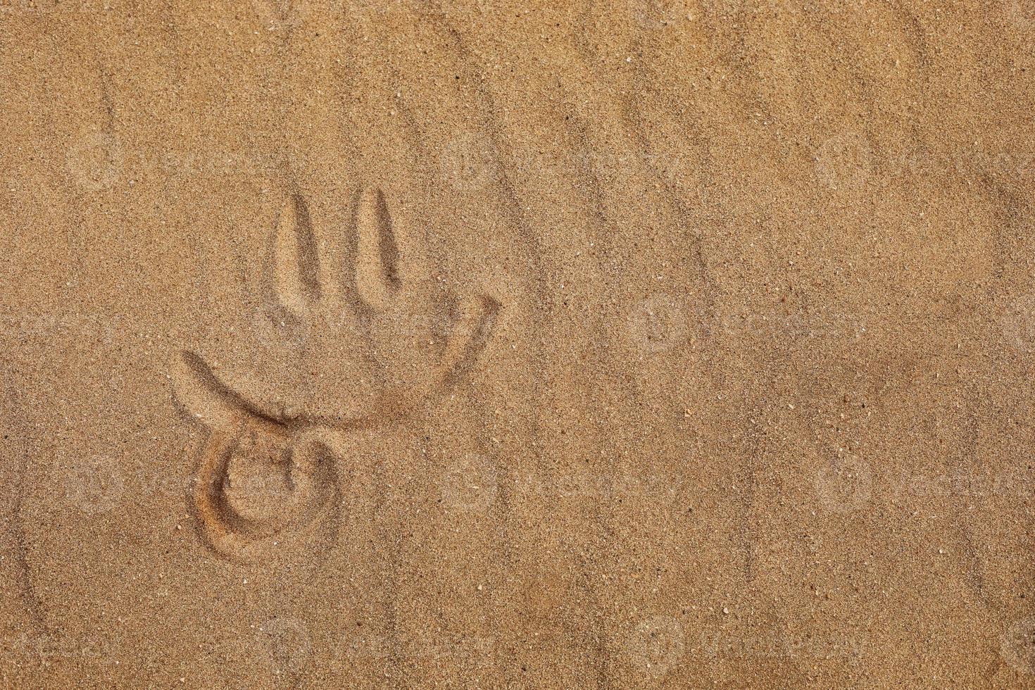 rosto sorridente com a língua de fora feita pelo dedo na praia foto