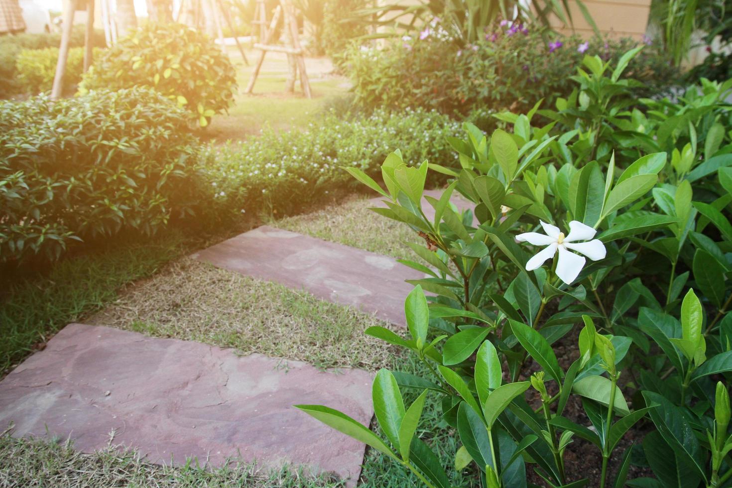 idéia do pedra e cimento telha Projeto para pavimentação passarela dentro a jardim. Projeto e decorativo jardim. foto