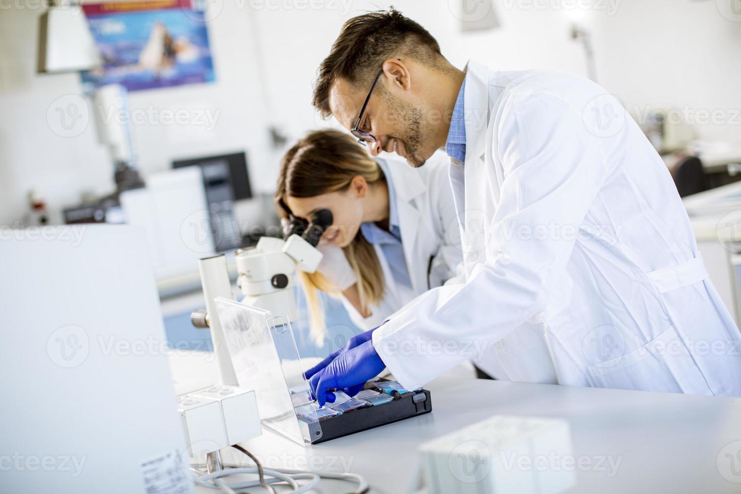 grupo de jovens pesquisadores analisando dados químicos em laboratório foto