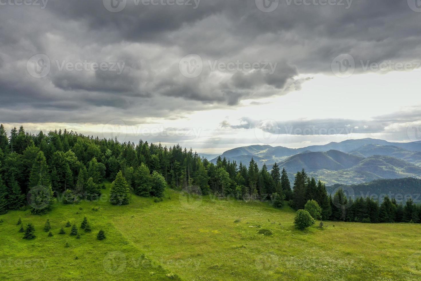 vista aérea na floresta da montanha em um dia de verão foto