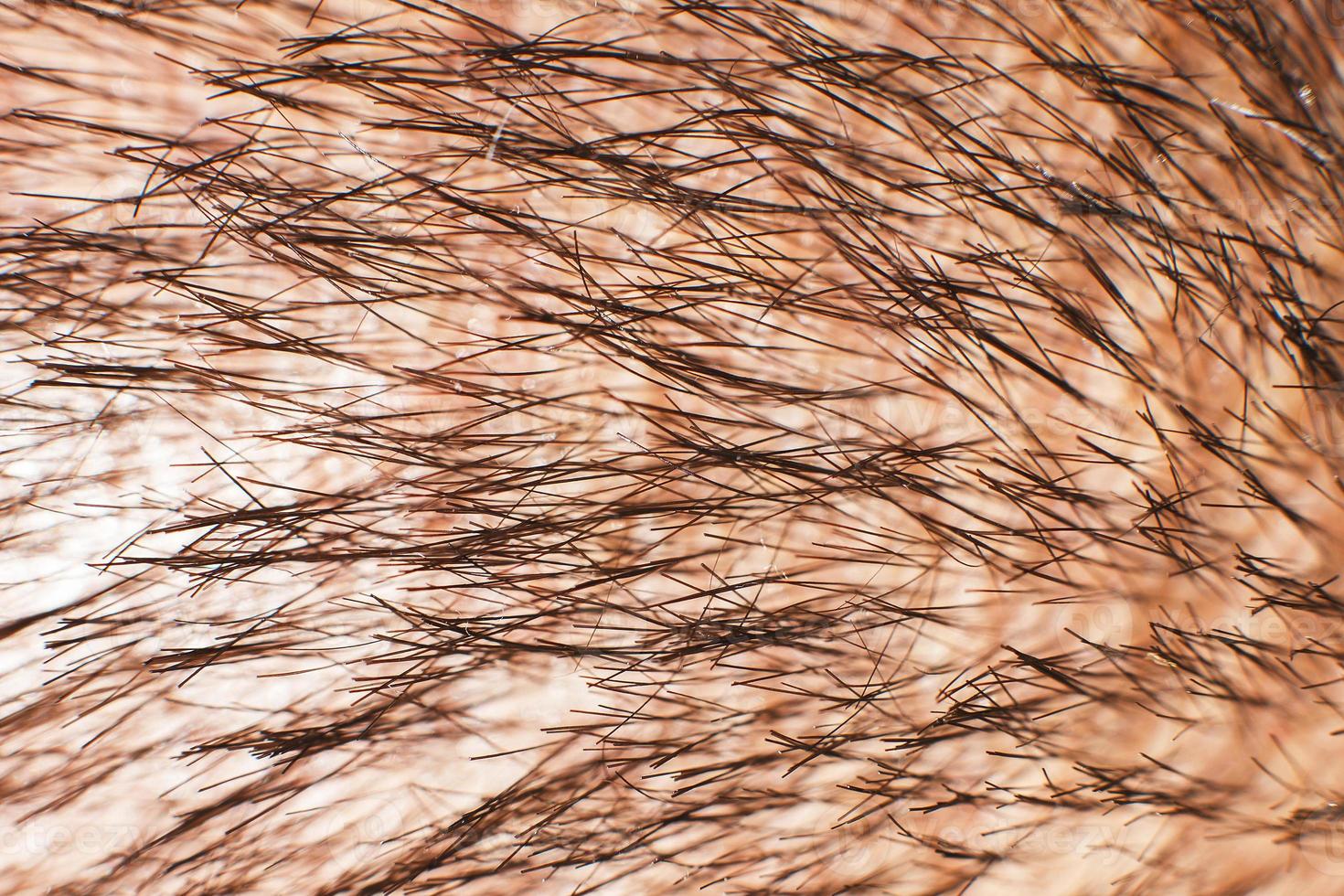 homens cabelo fechar. cabeça cabelo macro. cabelo fundo foto