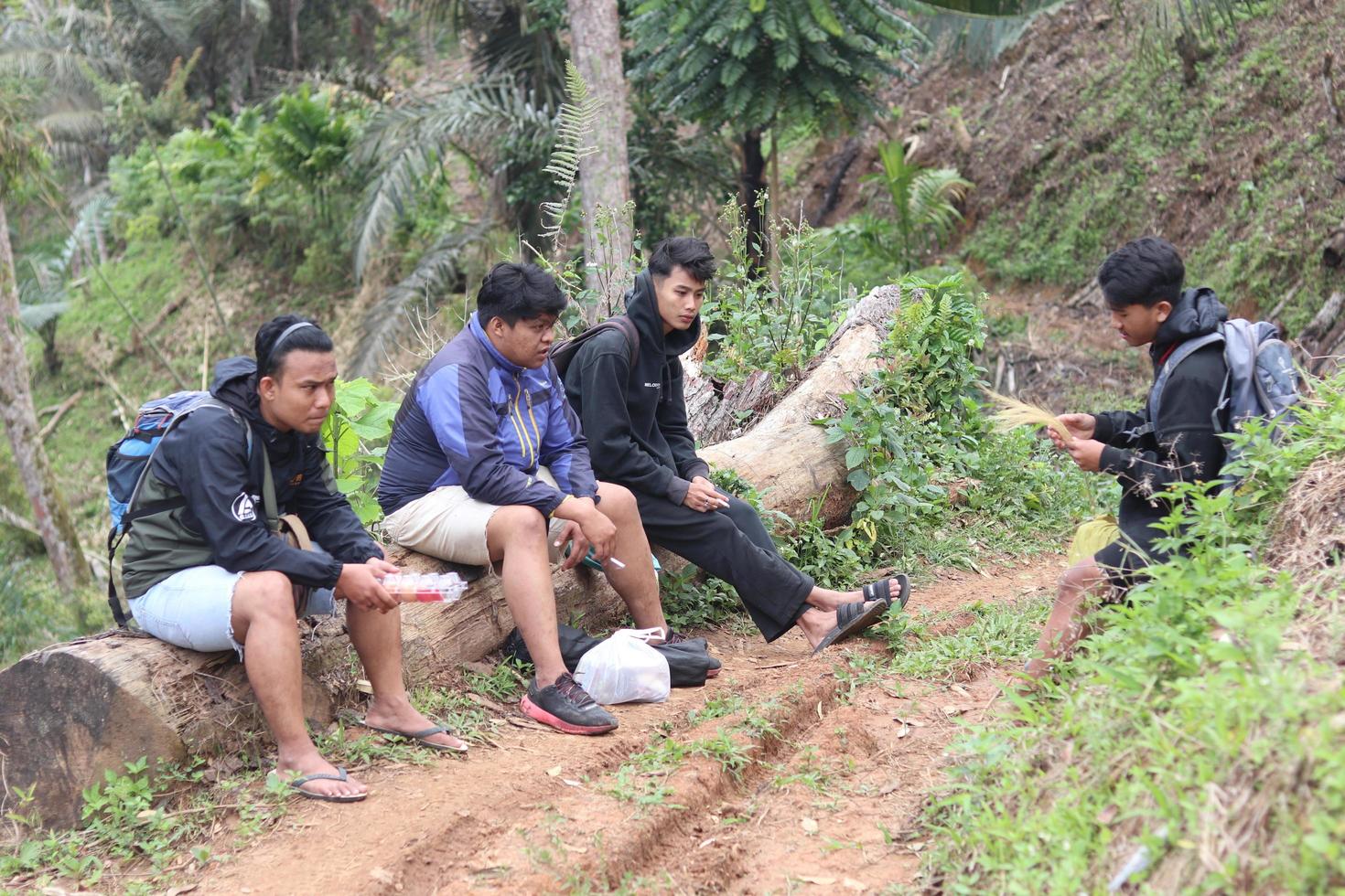 gorontalo, 5 fevereiro 2023 - uma grupo do pessoas acampamento juntos dentro natureza foto