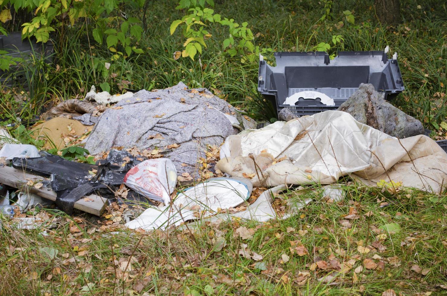 lixo dentro a floresta. ecológico problema. plástico, vidro, latas. foto