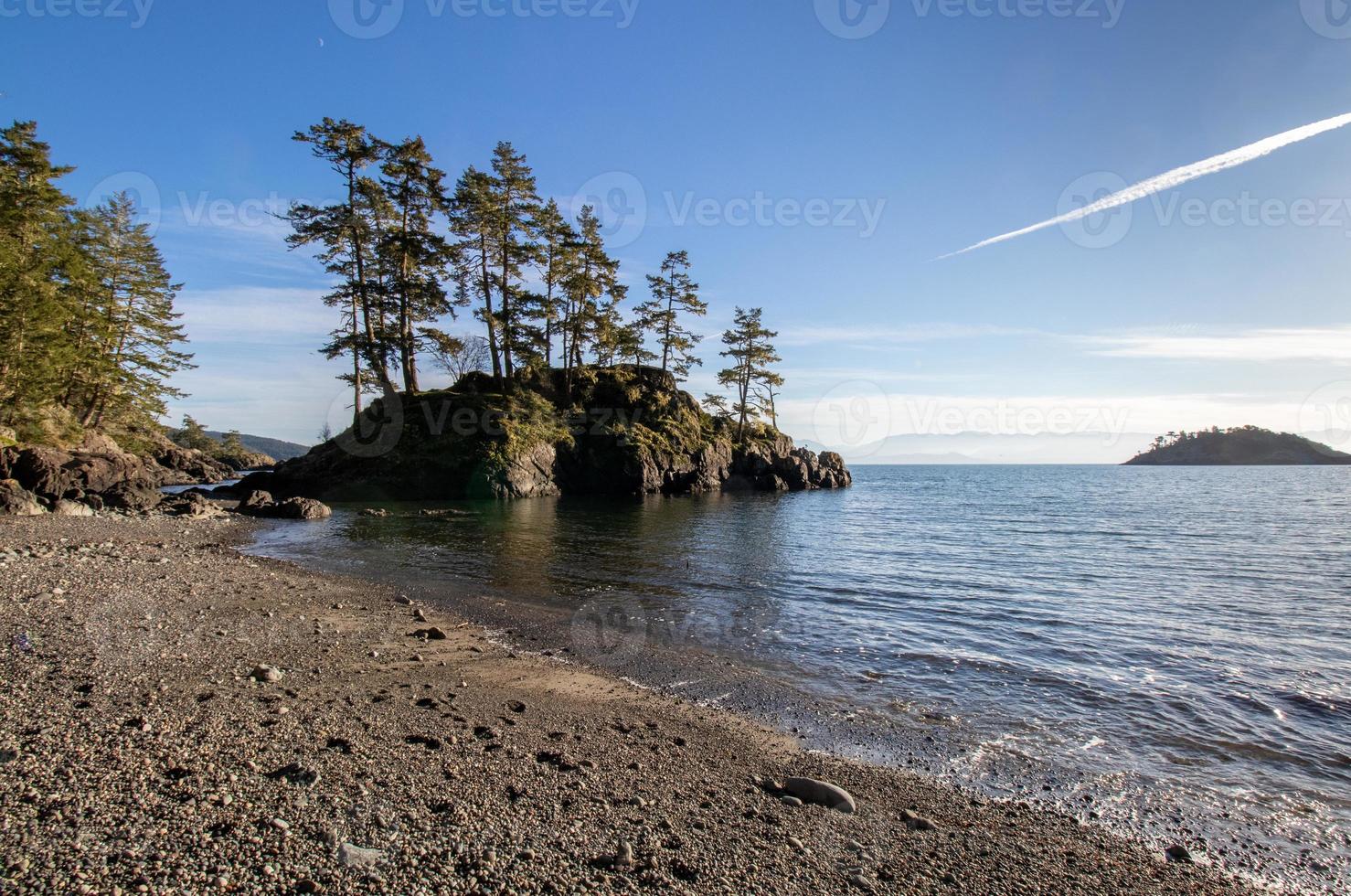 pinho árvores crescendo em uma Rocha ilha às ferro meu baía às leste sooke regional parque em Vancouver ilha foto