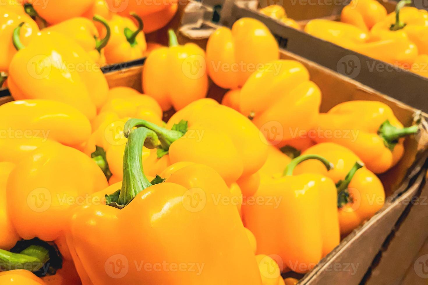 pimentão amarelo maduro. vendendo legumes no mercado de supermercados ou agricultores. comida ecológica. foto