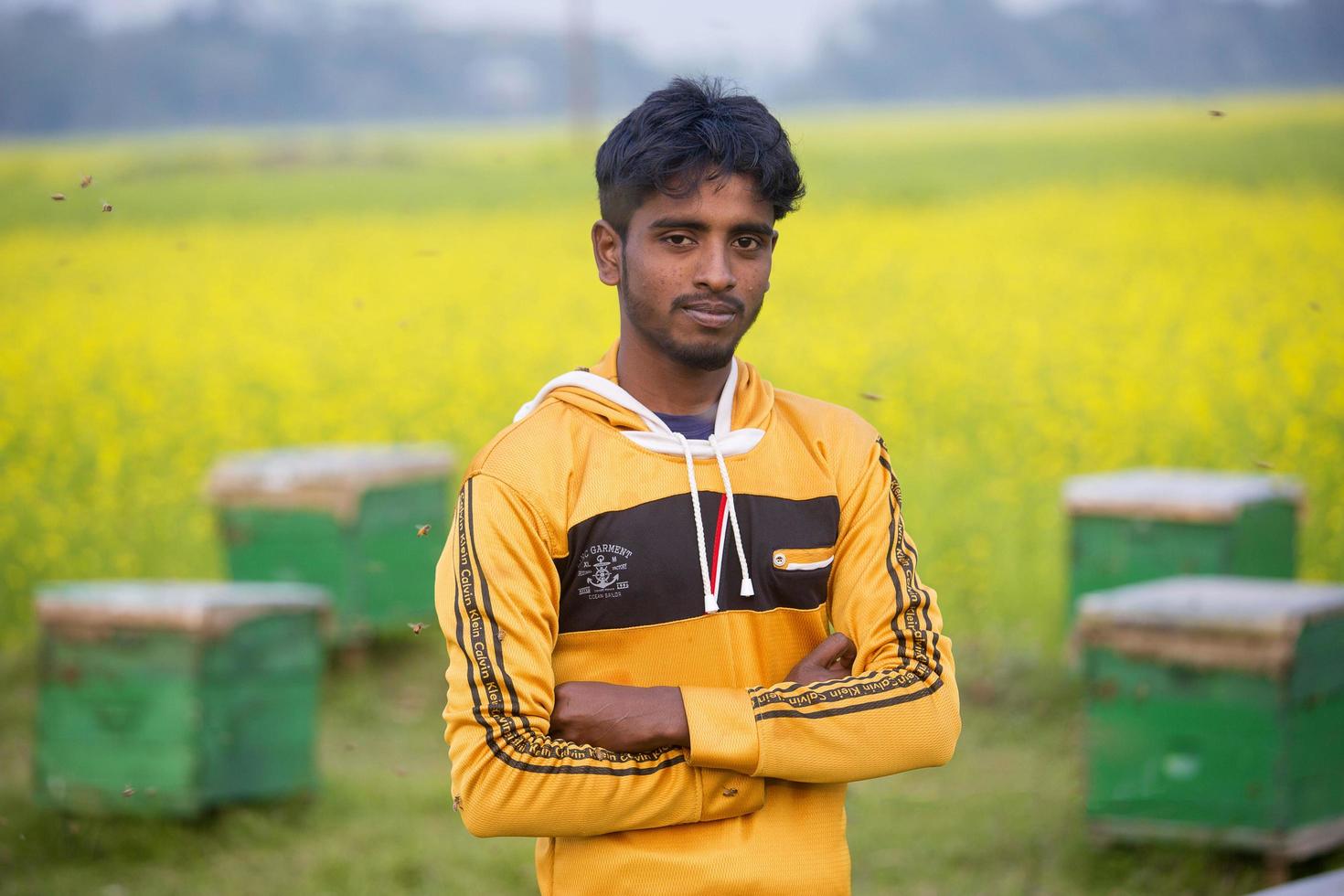 Bangladesh janeiro 31, 2018 uma trabalhador extratos querida a partir de uma mostarda flor e monitores uma abelha colmeia a partir de uma colméia caixa às munshigonj, dhaka. foto