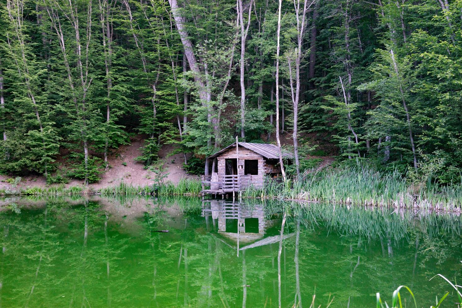 uma cabana à beira de um lago rodeado por árvores em Yalta, Crimeia foto