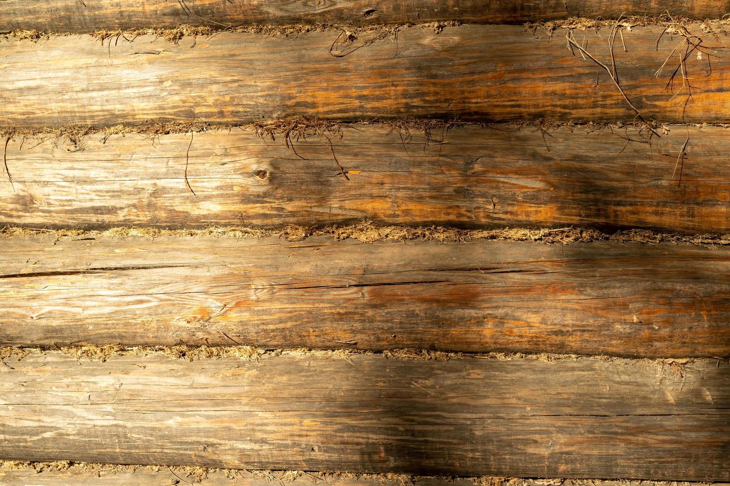 close-up de uma parede de toras de madeira à luz do dia foto