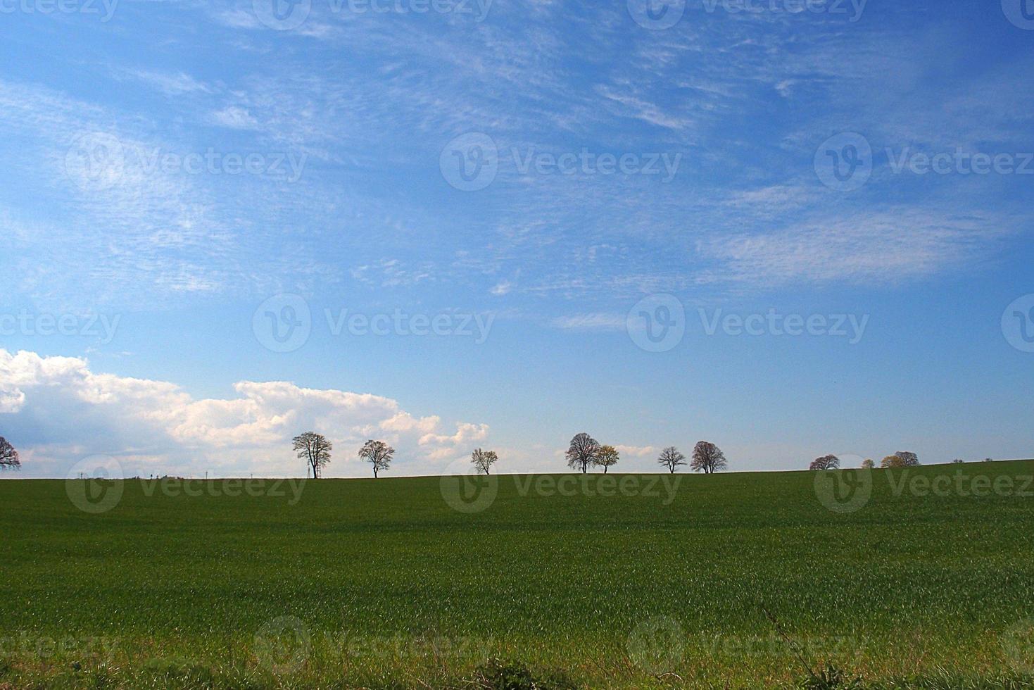 lindo minimalista Primavera panorama avião com verde prados azul céu com branco nuvens foto