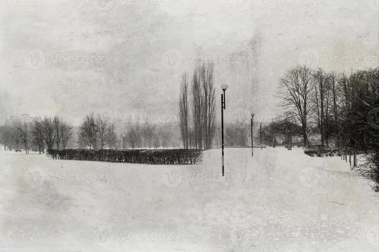 triste inverno Branco preto panorama com árvores dentro a neve dentro janeiro foto
