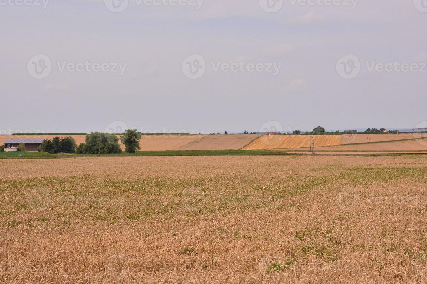 cênico rural panorama foto