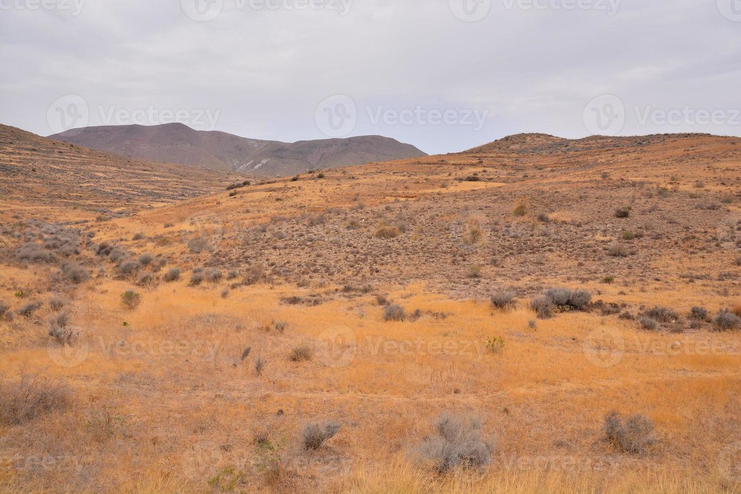 cênico rural panorama foto