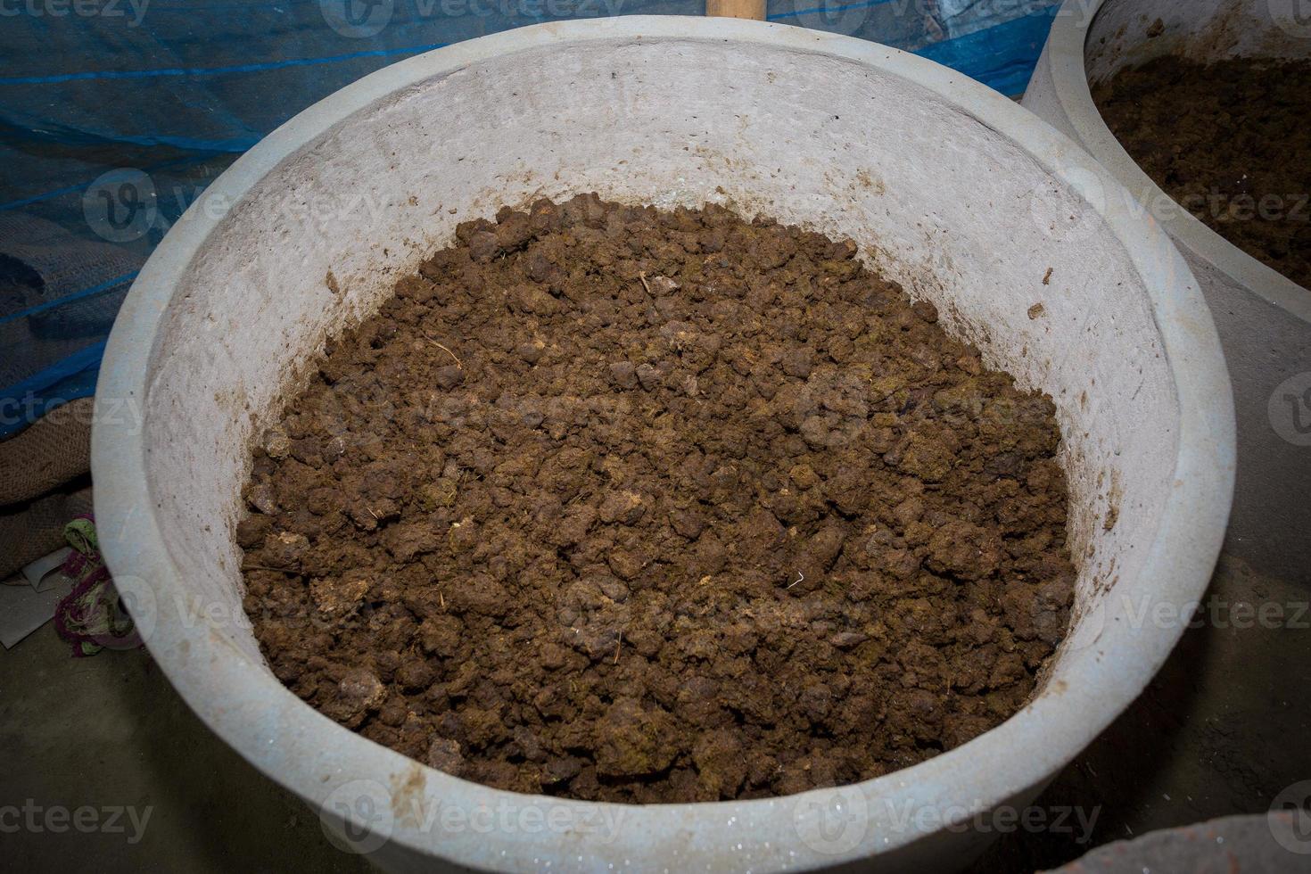 vermicomposto é ser fabricado localmente dentro ampla containers do cimento às chuadanga, Bangladesh. foto