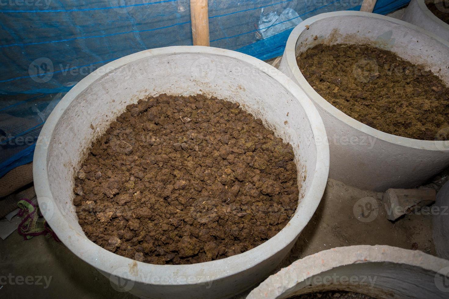 vermicomposto é ser fabricado localmente dentro ampla containers do cimento às chuadanga, Bangladesh. foto