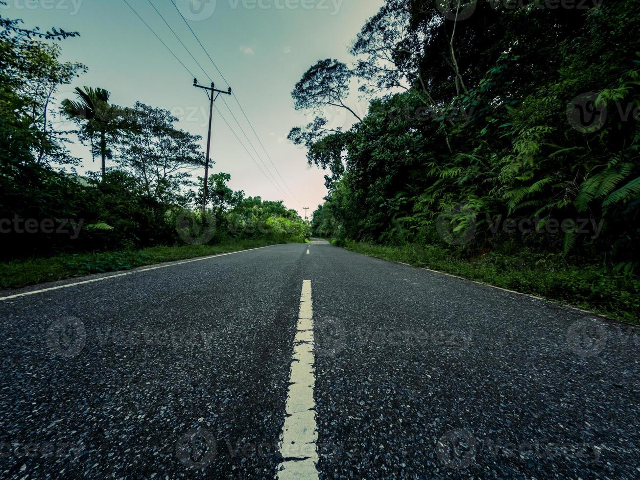 a esvaziar em linha reta estrada através floresta. manhã dentro bosque com rodovia foto