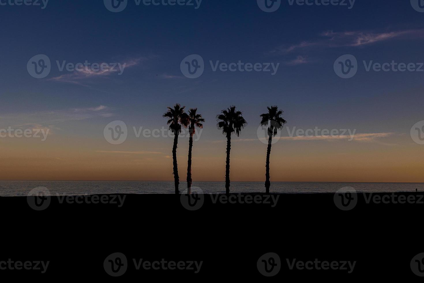 beira-mar panorama Paz e quieto pôr do sol e quatro Palma árvores em a de praia foto