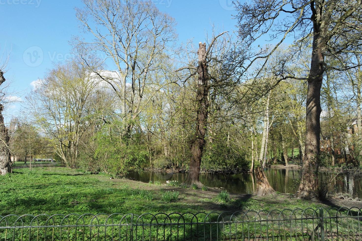 baixo ângulo Visão do local público parque e lindo árvores uma Claro e frio dia do 24 de março de 2023 às luton Cidade do Inglaterra Reino Unido. foto