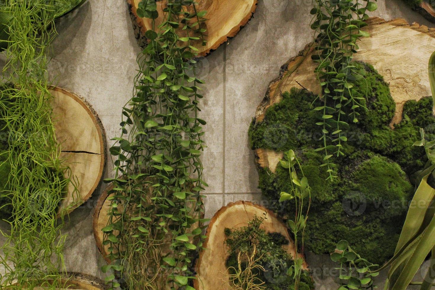 verde parede do diferente decíduo plantas dentro a interior decoração. natureza folha fundo. eco amigáveis vertical jardim. exuberante folhagem composição. orgânico ornamento. casa selva decoração conceito. foto