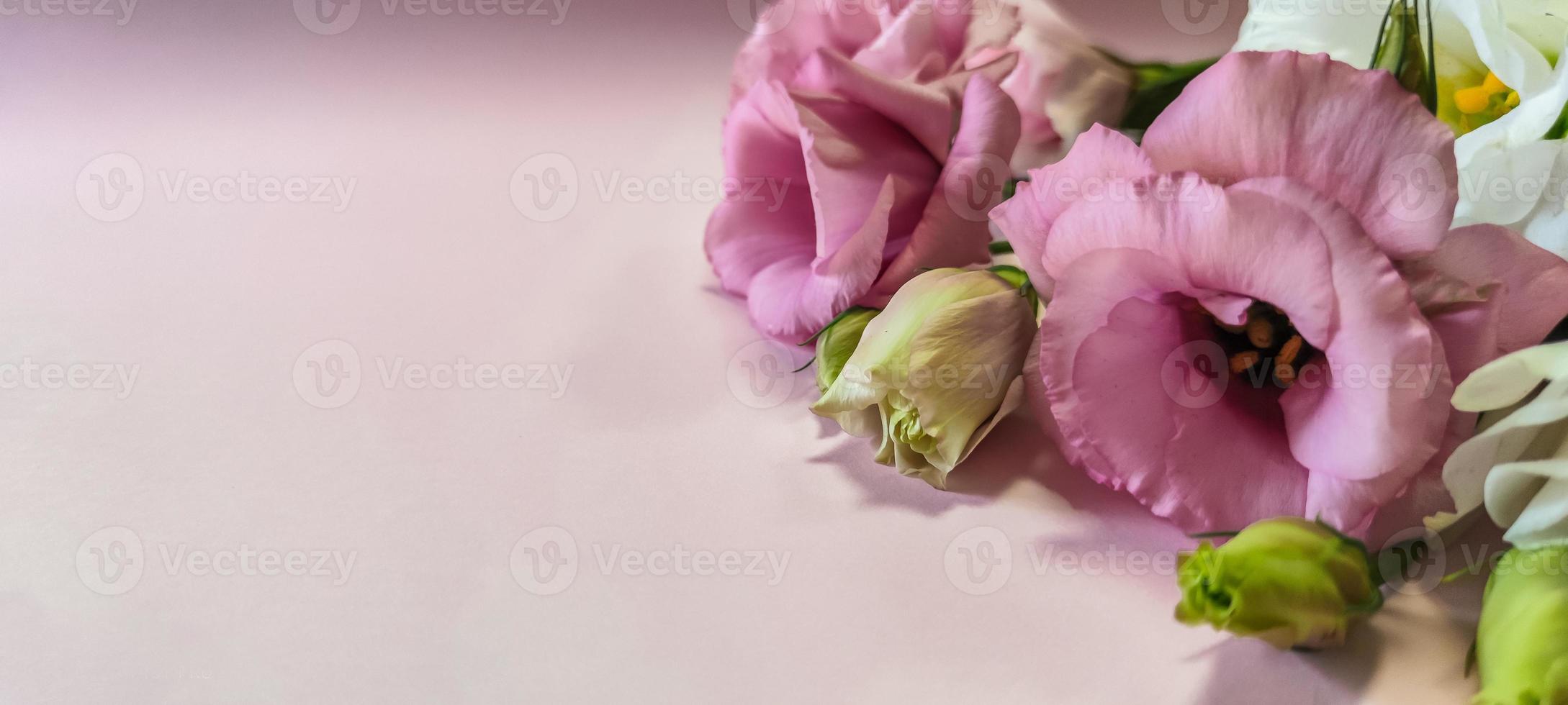 flores de rosas cor de rosa e brancas com copyspace foto