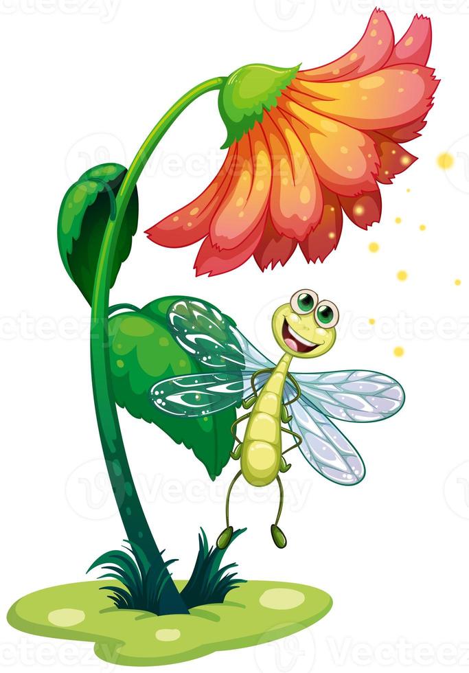 uma libélula voando sob a flor foto