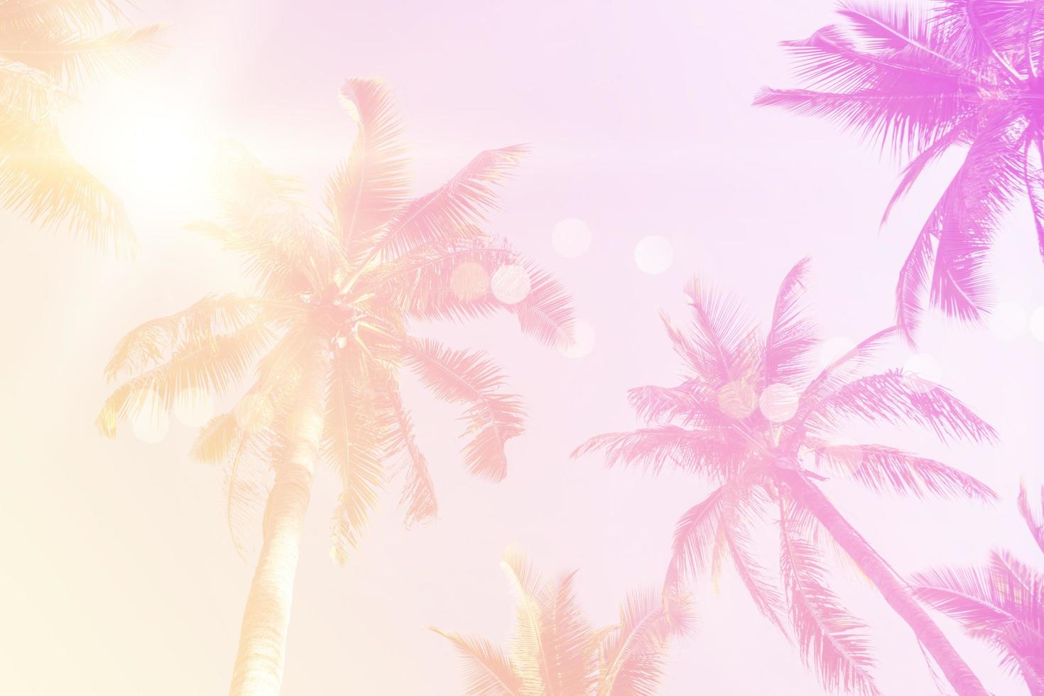 coqueiros de palmeiras tropicais no reflexo do céu do sol e fundo de natureza bokeh. foto