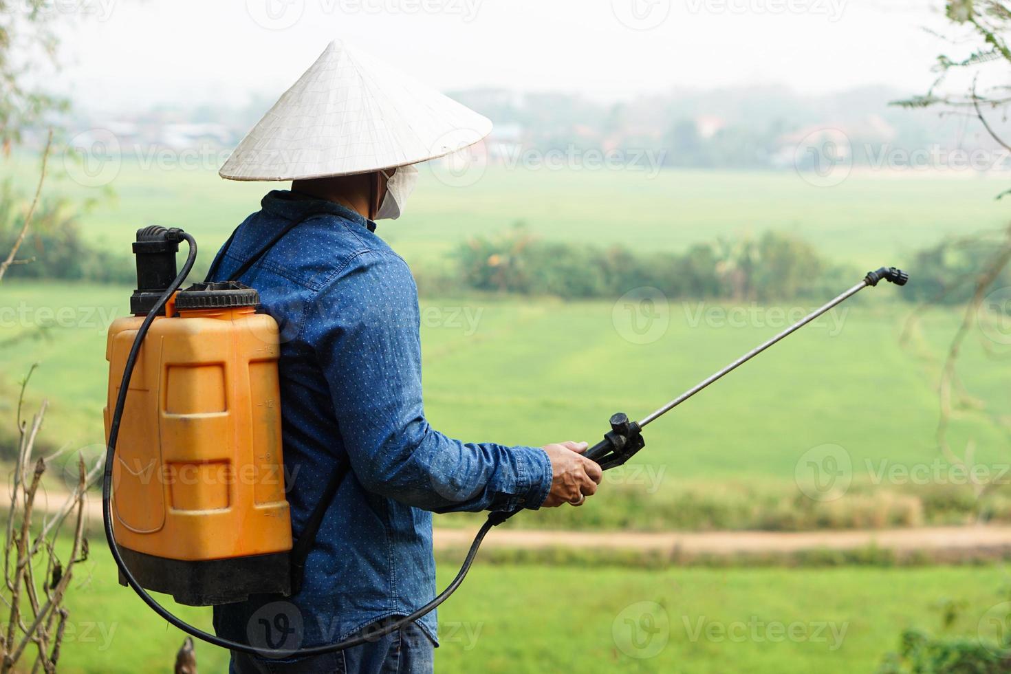 ásia jardineiro usa herbicidas, inseticidas químico spray para pegue livrar do ervas daninhas e insetos ou plantar doença dentro Pomar. causa ar poluição. de Meio Ambiente , agricultura produtos químicos conceito. foto