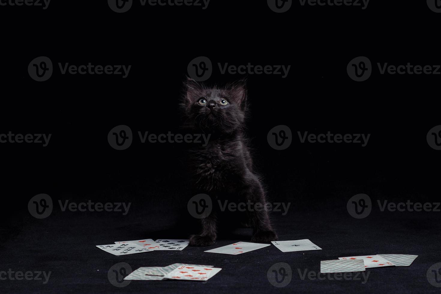 gatinho preto com cartas de jogar contra um fundo escuro foto