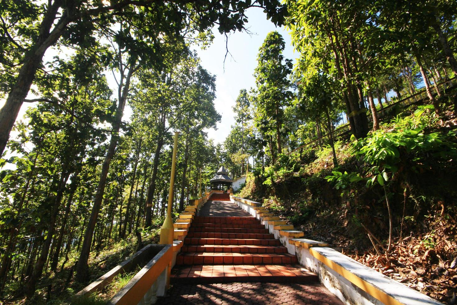 concreto escadas dentro a selva e floresta posição para a têmpora em a morro às dentro phra este doi kong mu têmpora às Meahongson província Tailândia foto