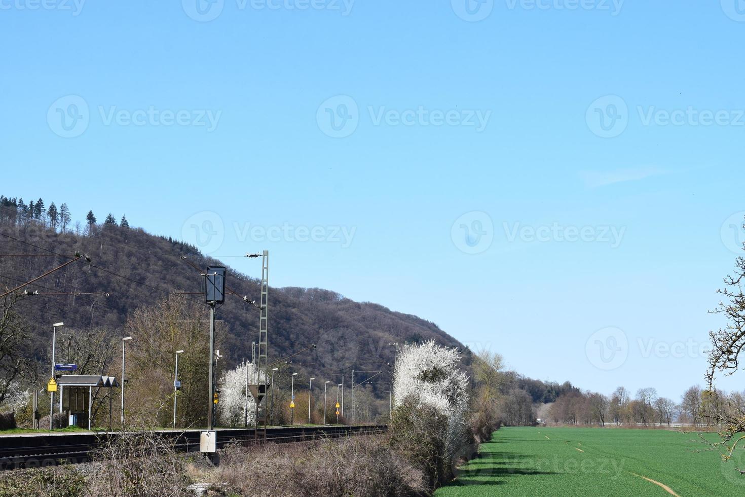 Ferrovia com branco florescendo árvores por aí foto