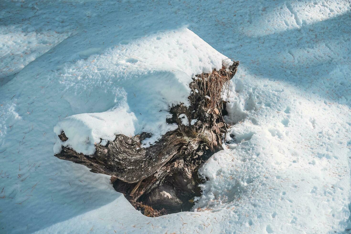 espetacular cenário dentro a Alto montanhas do ocidental sichuan, China, com diferente temporadas foto