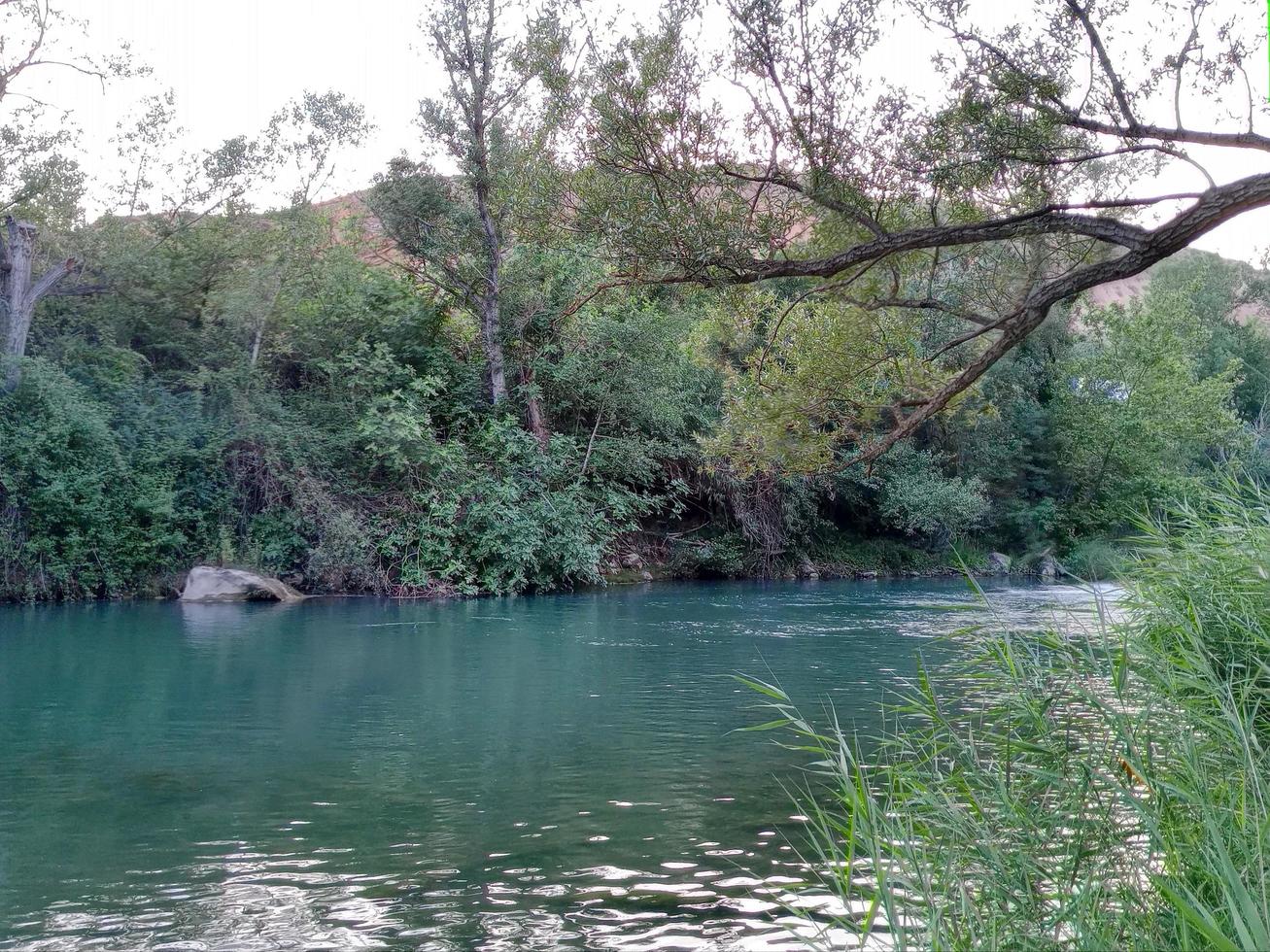 parque imagens a partir de balaguer, lleida, Espanha foto