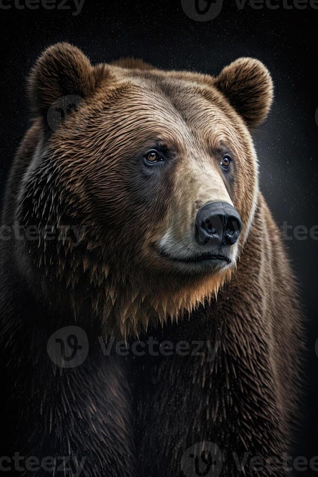 retrato do uma Urso em uma Sombrio fundo. ai gerado ilustração foto
